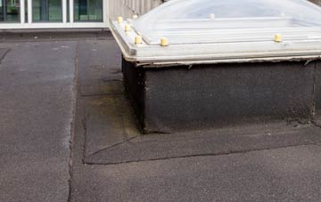 disadvantages of Buckland Newton flat roofs