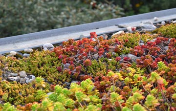 the cost of Buckland Newton green roof installation