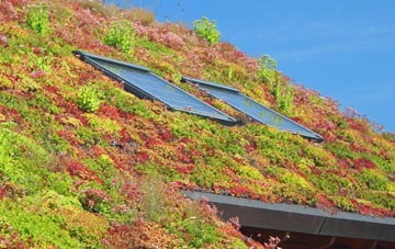 Buckland Newton living roof systems