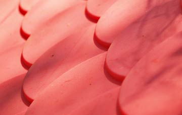 Buckland Newton plastic roof costs