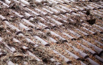 Buckland Newton roof cleaning companies