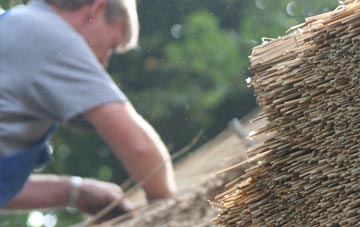 professional Buckland Newton thatchers