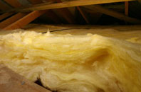 Buckland Newton pitch roof insulation