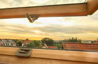 rated Buckland Newton roof window companies